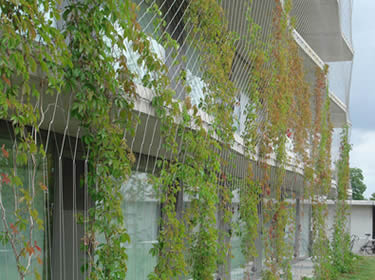 Stainless steel rope mesh used for building green facade